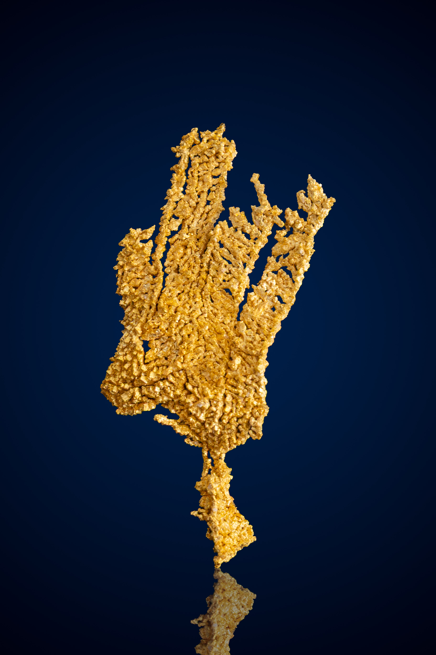 (image for) Dendritic, Intricate Natural Gold Specimen - Round Mountain, NV - 0.72 grams